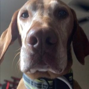 Meet your Posher, Roman